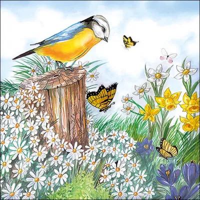 Produktbild von RP 20 Servietten Bird Watching - Vogel beobachtet Frühlingsgeschehen 33x33cm