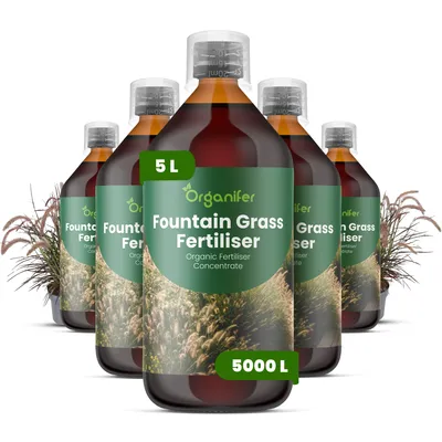 Produktbild von Brunnengras Flüssigdünger 2-1-8 NPK - 5x1L Flüssig-Pflanzendünger für farbintensive Ziergras-Pflanzungen – Fördert Wachstum & Vitalität – Organifer