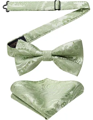 Imagen del producto de Pañuelo de bolsillo para hombre, ajustable, para esmoquin, boda, color verde salmón, modelo 1