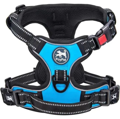 Produktbild von Hundegeschirr ohne Ziehen Reflektierend Verstellbar Weich Gepolstert Blau XS