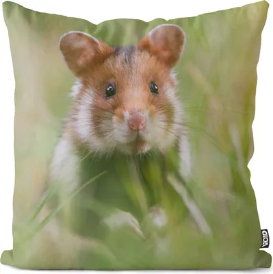 Produktbild von VOID Feldhamster Hamster Haustier Kissenbezug Kissenhülle sofa couch wohnzimmer dekoration wasserfest Outdoor Kissen bezug deko
