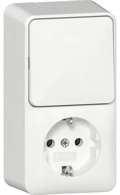 Image de GIRA Prise de courant SCHUKO 417613 Kombi AusWe senk.AP RW (417613)