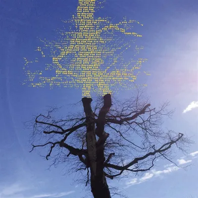 Image de Laetitia Sadier : Laetitia Sadier : Rooting For Love - - (LP / R)