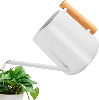 Obrázok produktu pre Malá 1-litrová nerezová kanvica s drevenou rukoväťou – s dlhým výtokom na polievanie rastlín – Pottuin a ďalšie