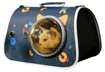 Faltbare Katzen-Transportbox, Blau, bis 7 kg, 45x32x8 cm