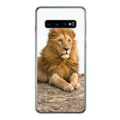 Produktbild von MuchoWow® Handyhülle Schutzhülle Hülle für Samsung Galaxy S10 Löwe - Mähne - Tier Silikon Softcase Handy Hülle - Handytasche