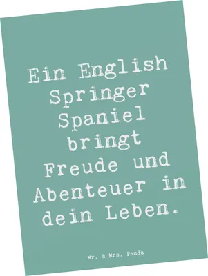 Produktbild von Mr. & Mrs. Panda Postkarte Spruch English Springer Spaniel Freude - Meeresbrise - Geschenk, sozial, Hunderasse, Ansichtskarte, und Abenteuer, Hunderassen Vielfalt, Hund