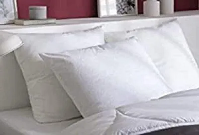 Produktbild von Famanu Kissen Set 60 x 60 cm mit Kissenbezügen - Hygienisch und Komfortabel