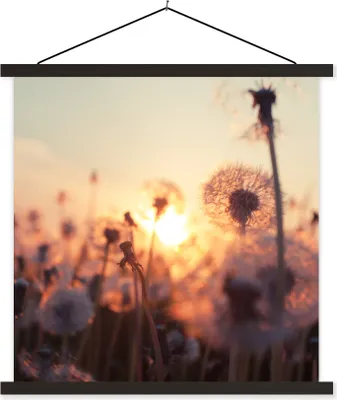 Produktbild von MuchoWow® Textilposter Löwenzahn - Sonnenuntergang - Frühling 40x40 cm mit schwarzem Rahmen - Fotos