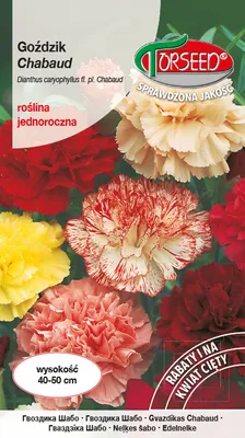 Produktbild von Nelke Chabaud Samenmischung 0,5g - Torseed
