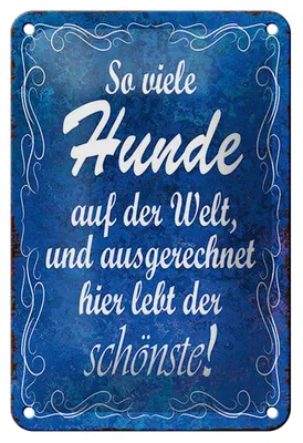 Produktbild von Blechschild Spruch 12x18cm so viele Hunde auf der Welt