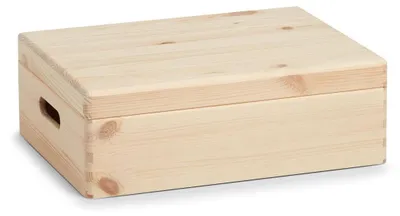 Obrázek produktu pro Skladovací kontejner s víkem, organizér 17 l, ZELLER