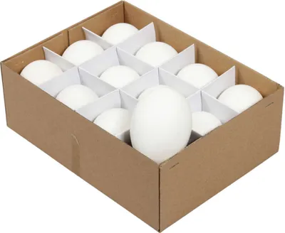 Produktbild von 12 Gänseeier ausgeblasen Eier Gans ca. 8cm Dekoeier Ostereier Natureier