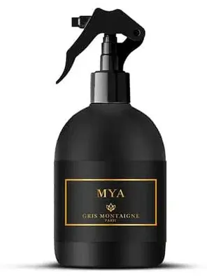 Image de Gris Montaigne Paris - Mya