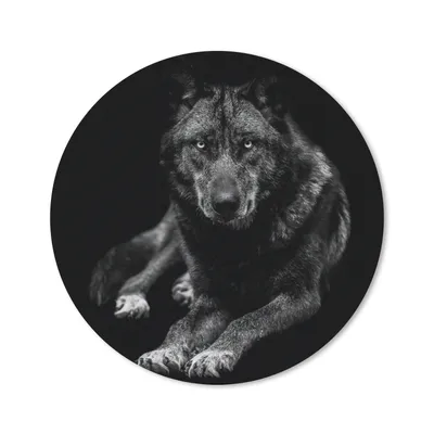Produktbild von MuchoWow® Mauspad Mousepad Tiere - Wolf - Schwarz - Weiß - Porträt 20x20 cm - Mousepads - Maus Mat - Pad - Mausunterlage - Schreibtischmatte