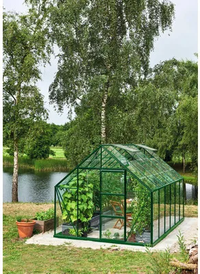 Produktbild von Gewächshaus Halls Universal 128 Blankglas 3 mm 257 x 384 cm grün