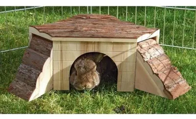 Immagine prodotto di Nature House with Ramp for Rodents - 37x37x16cm - KERBL
