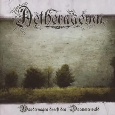 Produktbild von Aethernaeum-Wanderungen Durch Den Dämmerwald