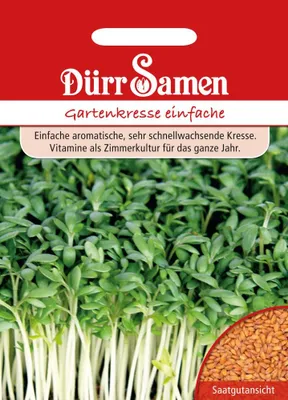 Produktbild von Gartenkresse einfach | Gartenkressesamen von Dürr Samen