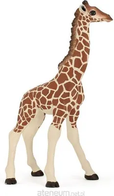 Produktbild von Papo Giraffenjunges, 3 Jahr(e), Beige, Braun, PVC