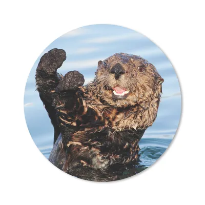 Produktbild von MuchoWow® Mauspad Mousepad Otter im Wasser 20x20 cm - Mousepads - Maus Mat - Pad - Mausunterlage - Schreibtischmatte