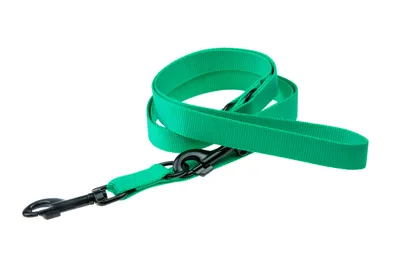 Produktbild von Karlie Art Sportiv Plus Führleine - Hundeleinen - XS - Nylon - Minze - 200x1 cm