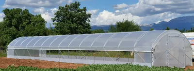 Obrázek produktu pro Skleník 6×20 m – profesionální fóliovník s boční ventilací, 2 dveřmi, UV fólií a zesílenou konstrukcí