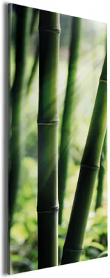 Produktbild von Wallario Premium Leinwandbild Bambuswald und Sonnenstrahlen in Größe 80 x 200 cm