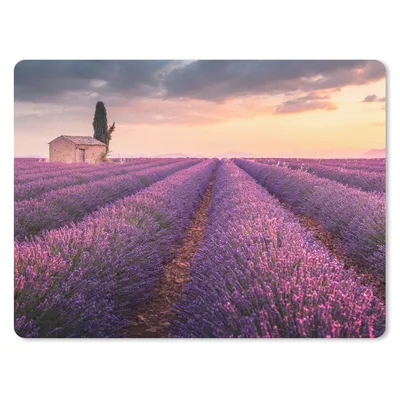 Produktbild von MuchoWow® Mauspad Mousepad Lavendel - Blumen - Lila - Feld 40x30 cm - Mousepads - Maus Mat - Pad - Mausunterlage - Anti Rutsch
