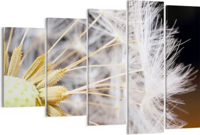 Produktbild von Bild auf Leinwand - Leinwandbild - Baby Sommer Pflanze - 150x100cm - Wand Bild - Wanddeko - Leinwanddruck - Bilder - Kunstdruck - Wanddekoration - Leinwand bilder - Wandkunst - EG150x100-3630