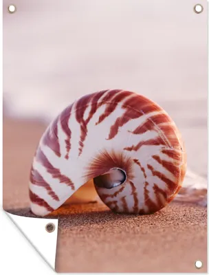 Produktbild von MuchoWow® 90x120 cm Outdoor-Poster Gartendeko Sichtschutz Garten Poster für den Garten  Muschel - Strand - Meer - Sand