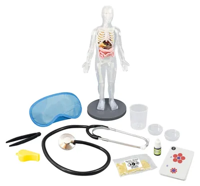 Productafbeelding van Buki Menselijk Lichaam, Experimenteerset, Anatomie, vanaf 8 jaar, Meerdere kleuren