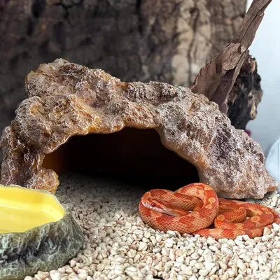 Produktbild von Versteckhöhle - Reptilienfels Terrarium Dekoration für kleine Echsen, Schlangen und Frösche Reptiliengehege