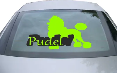Produktbild von Indigos UG - Aufkleber Heckscheibe & Motorklappe DE7153 - neongrün - 600x317 mm - Pudel mit Name Caniche Dog - Auto Scheiben Fenster Heckklappe Tuning Racing JDM - Die cut