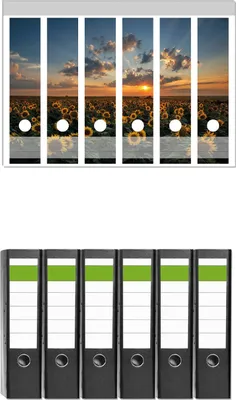 Produktbild von Wallario 6 Stück breite Ordner inkl. Klebeetiketten mit Motive Sonnenblumenwiese vor Wolken mit Sonnenuntergang -  Set mit Rückenschildern / Ordnerrücken Stickern