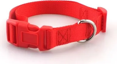 Immagine prodotto di Collare per cani Rosso L