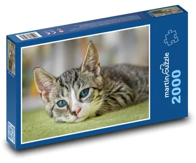 Obrázek produktu pro martinpuzzle - Puzzle 2000 - Kočka