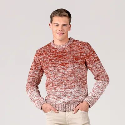 Produktbild von Herren-Pullover „Pascal“ in Oak von Living Crafts