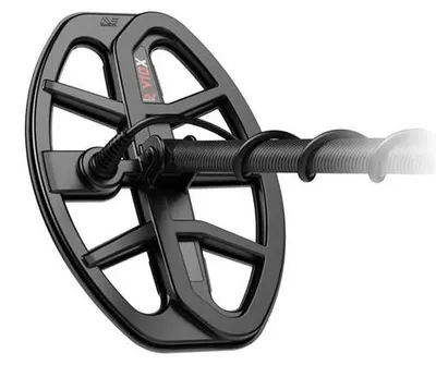 Image de Disque MINELAB V10X - 25x18 cm
