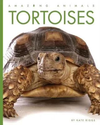 Immagine prodotto di Tartarughe