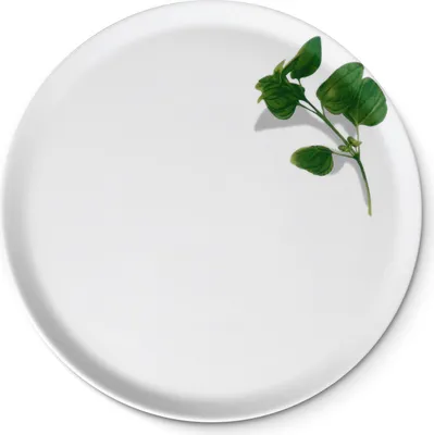Produktbild von CreaTable - EUROPA KRÄUTER - Pizzateller BASILIKUM 33 cm aus Porzellan