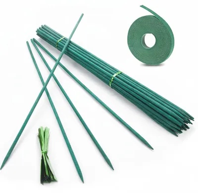 Image de InAndOutdoorMatch - Support pour plantes en bambou - Longueur : 45 cm - Couleur : Vert, Image générée par une IA