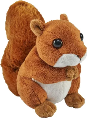 A plush toy squirrel is shown against a white background.