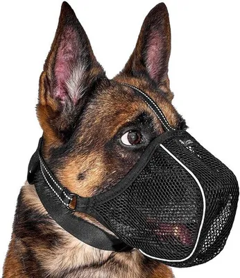 Produktbild von Weicher Hundemaulkorb atmungsaktiv antirutsch schwarz XL