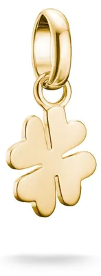 Zdjęcie produktu dla Thomas Sabo Uniseks Charms CC1202-413-39