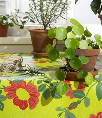 Produktbild von Wachstuch Captain Cook 160cm rund | Abwaschbare Tischdecke | Wildblumen Sellerie