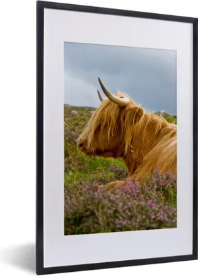 Produktbild von MuchoWow® MuchoWow® Gerahmtes Poster Scottish Hochlandrind - Blumen - Gras 40x60 cm - Poster mit zchwarzem Bilderrahmen - Poster in Rahmen