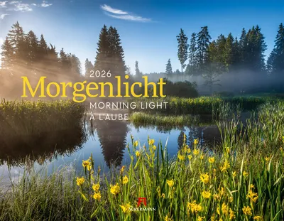 Produktbild von Ackermann Kunstverlag Wandkalender Morgenlicht 2026, 54x42 cm, 3-sprachig
