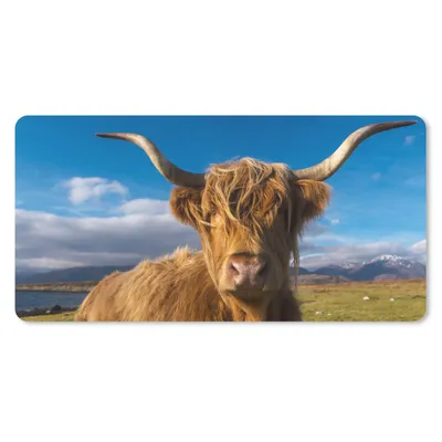 Produktbild von MuchoWow® Schreibtischunterlage Schottische Highlander - Tiere - Gras 80x40 cm - XXL Mauspad - Gaming Mauspad