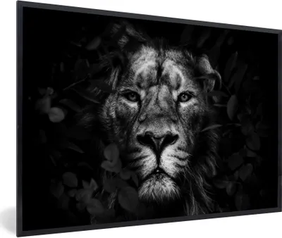 Produktbild von MuchoWow® Gerahmtes Poster Löwe zwischen den Blättern im Dschungel - schwarz und weiß 60x40 cm - Poster mit Schwarzem Bilderrahmen Wandposter Rahmen Foto Bilder - Printing - Wanddeko Schlafzimmer